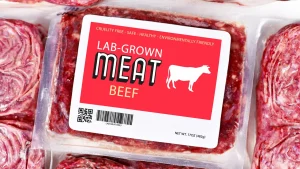lab grown meat