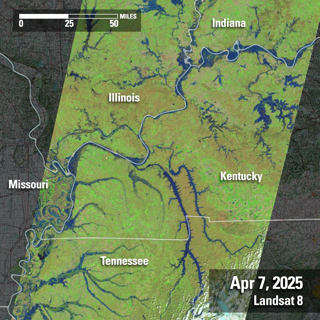 Powerful storms containing heavy rains caused major flooding to areas in the east central portion of the United States in early April 2025. Some communities in Kentucky saw more than 15 inches of rain, according to the National Weather Service. In the days following April 7 — the day Landsat 8 captured this imagery over a portion of the affected area — the Kentucky and Ohio rivers were forecast to reach historic levels and crest in dozens of locations. (Courtesy USGS Landsat program)