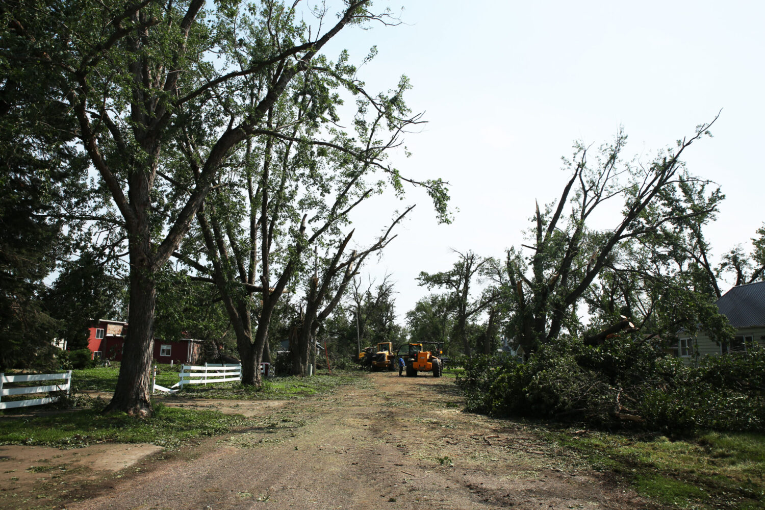 Volunteers help clean up tree debris in Hudson on July 29, 2025, after severe weather moved through the area the previous evening. The system damaged trees, homes and other structures. (Makenzie Huber/South Dakota Searchlight)