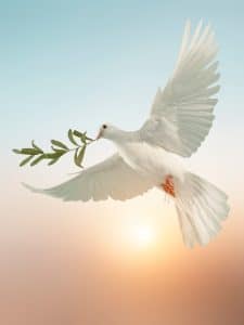 Obituary Sherri Joan Adams