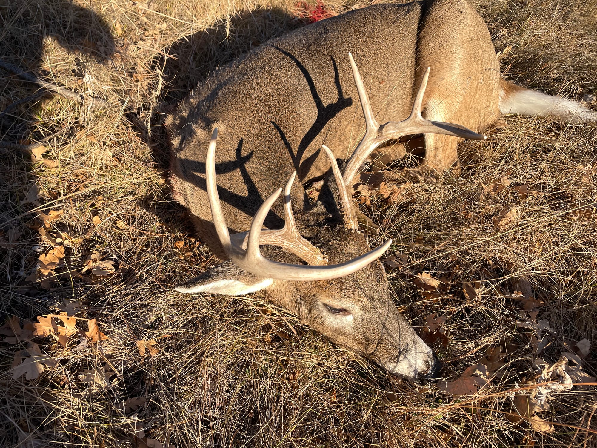 Processing wild game still a challenge for South Dakota hunters