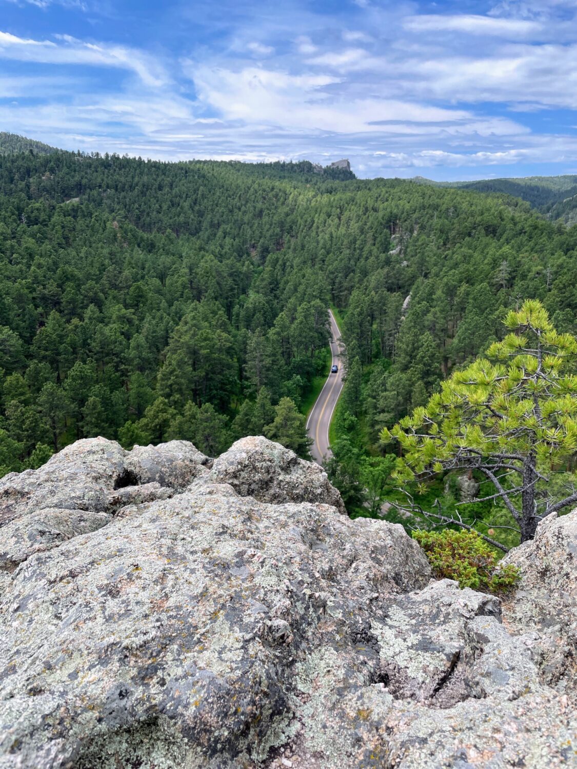 A June 2025 view of Iron Mountain Road in South Dakota's Black Hills. (Seth Tupper/South Dakota Searchlight)