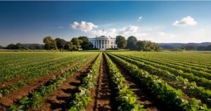 trump farm aid