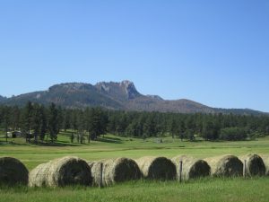 agriculture land