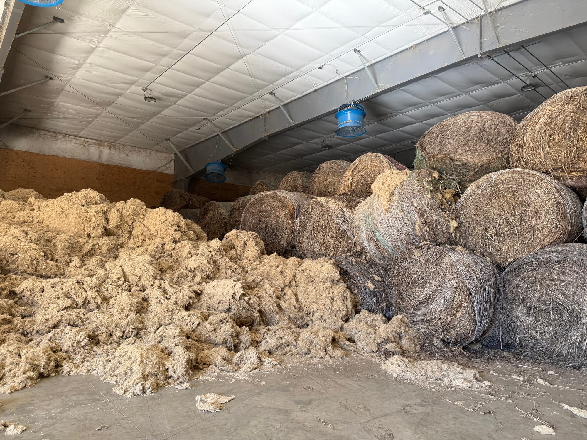 Hemp industry grows amid federal legality battle
