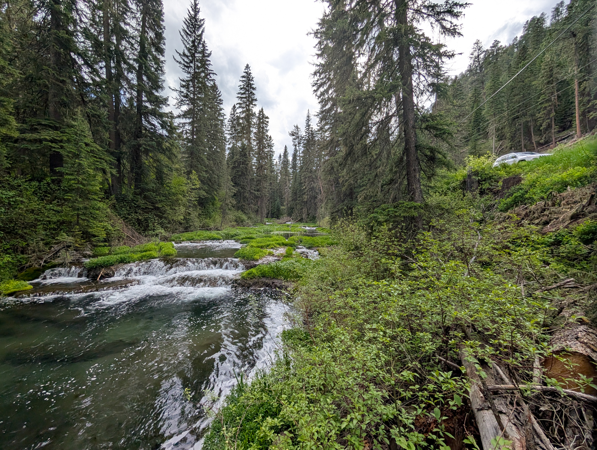 Spearfish Creek flows alongside U.S. 85 in the Black Hills. (Courtesy of Paul Horsted)