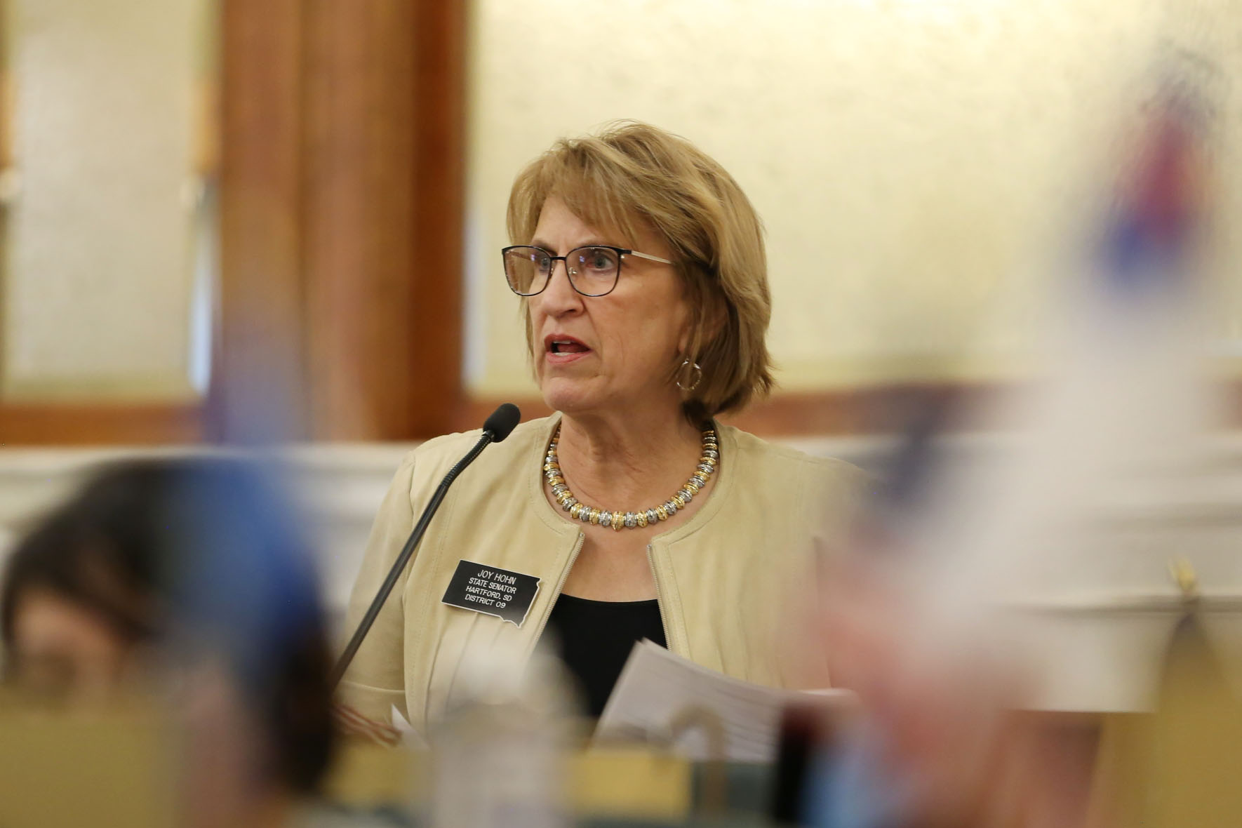 Sen. Joy Hohn, R-Hartford, speaks on the Senate floor in Pierre on Feb. 11, 2026. (Photo by Makenzie Huber/South Dakota Searchlight)