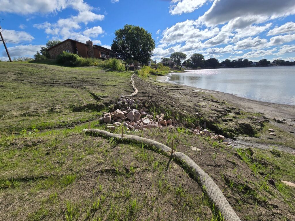 Grass grows on Sept. 5, 2025, along a part of the McCook Lake shore that was previously inundated with sediment. (Courtesy of Dirk Lohry)