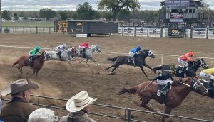 horse racing