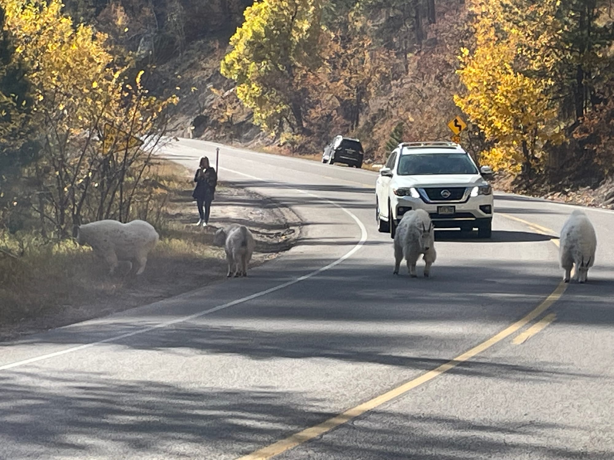 Southeast SD surges ahead of Black Hills in tourism revenue
