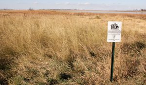 conservation reserve