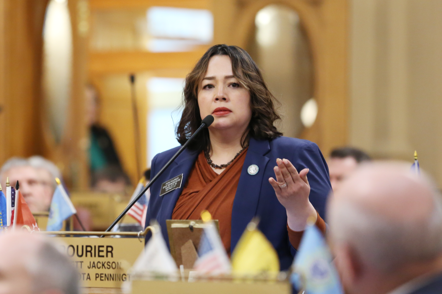 Rep. Peri Pourier, D-Rapid City, speaks on the House floor on March 3, 2025, at the South Dakota Capitol in Pierre. (Photo by Makenzie Huber/South Dakota Searchlight)