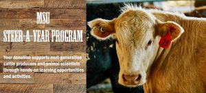 Montana State University Steer-A-Year program
