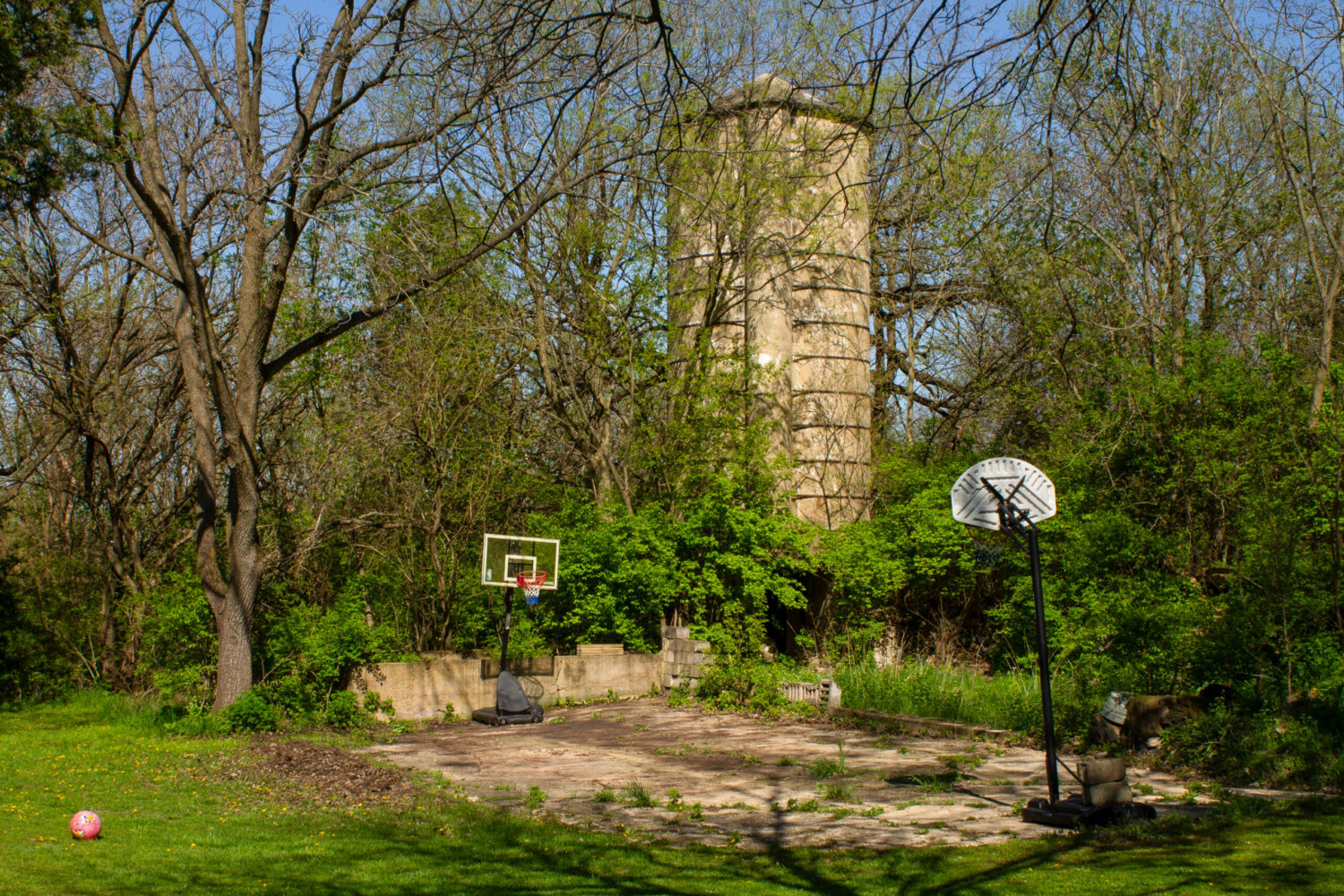 A Frank May silo tucked away behind trees in southern Wisconsin on April 25, 2026. When Tom Schurman bought the farm a few years ago, he said the silo was practically invisible through the overgrown trees. It took a lot of work to clear the area, and now his kids play basketball on the foundation of what used to be a barn. (Jess Savage/ Northern Public Radio)