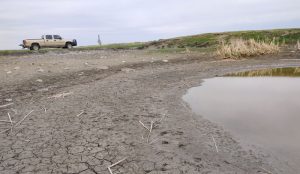 Drought